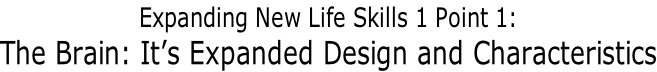 Expanding New Life Skills 1 Point 1: The Brain: It’s Expanded Design and Characteristics